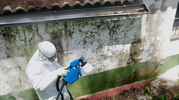 Top rated local Crawl Space Mold Remediation specialists in Queen, PA